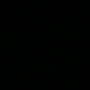 Meet your Posher, Marithza